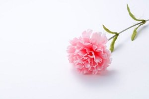 似顔絵  誕生日 プレゼント