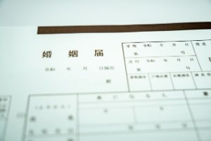 入籍だけ