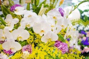 結婚 祝い 花 言葉