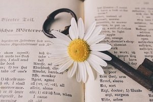 結婚 祝い 花 言葉
