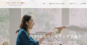 株式会社メビウスジャパン